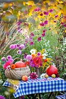 Display of autumn flowers and produce - Dahlia, Solidago, Zinnia
