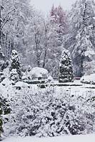 Garden in snow with box hedging, Thuja occidentalis and woods.
