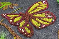 Butterfly and dragonfly sculptures designed with Alternanthera plants in mulch border in summer, Canada