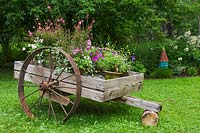 Geranium, Sanvitalia, Gaura lindeheimeri 'Passionate Blush', Lantana,  Petunia 'Night Sky' and Glechoma hederacea in a rustic wooden cart 