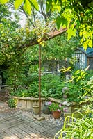 Small town garden in spring with ornamental garden shed, Grape vine trained on rustic reclaimed oak beam, raised beds made from reclaimed bricks and stone. May