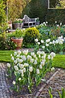 Spring garden with Tulipa 'Purissima' and Tulipa 'Exotic Emperor', April.