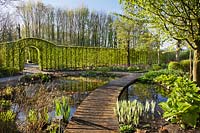 Garden in spring with deck path over pond, emerging perennials and hornbeam hedging. Laura Dingemans garden, April