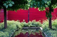 Pond surrounded by Alchemilla. Red fence, June.