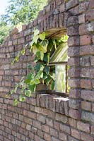 Old farmwall with authentic window in garden used as fence, June.