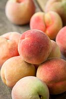 Peach 'Peregrine' - Prunus persica 'Peregrine' AGM