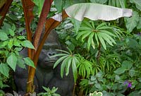Tropical foliage border at John Massey's garden with gorilla sculpture. Includes Ensete maurelli - Ethiopian black banana and Begonia luxurians - Palm leaf begonia