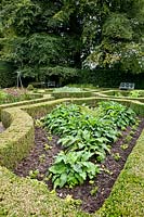 Formal Herb Garden and Pottager at Ballymaloe Cookery School and Garden. Ireland