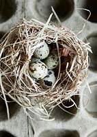 Easter decoration - eggs in nest