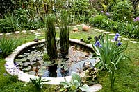 Small circular pond with Iris  'Mer du Sud'. Gaetano Zoccali garden. Milan. Italy