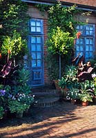 Patio garden with large selection of containers planted with a semi-tropical plants.