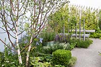 Sensory garden for the deaf to stimulate senses. Border of perennial plants, RHS Chelsea 2011, May.