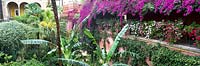 Courtyard garden with semi-tropical planting, bananas, flowering Bougainvillea, Casa de Pilatos, Seville, Spain.