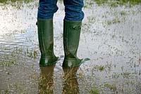 Man wearing Wellington boots and standing in a flooded field, March.