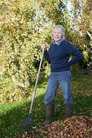 Jenny, garden owner raking leaves of Betula in Autumn.