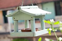 Bird feeder. Amateur terrace - Milan, Italy