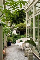 Conservatory with Rose 'Francis E. Lester' in the foreground and in the background Rosa 'Pierre de Ronsard'. Milan. Italy.