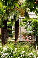 A view of the veranda and the garden from the glasshouse. Chamaerops excelsa. Milan. Italy.