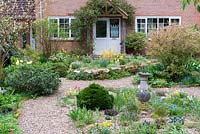 A gravel garden planted with spring flowering plants and bulbs including muscari, miniature daffodils, dwarf tulips, pasque flowers and forsythia.