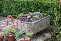 A stone trough planted with succulents, interspersed with slate.