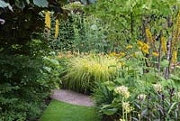 A clump of ligularia, golden grasses and daylilies is glimpsed through a gap in the planting.