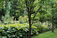 Tropical Garden at Newby Hall, with a mix of exotics and large-leaved plants such as rheum, gunnera and fatsia.