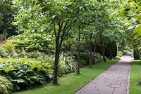 Tropical Garden at Newby Hall, with mix of exotics and large-leaved plants, June.