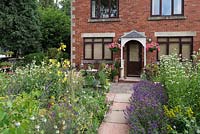 A town front garden with informal colour theme border with purple, yellow and white planting.