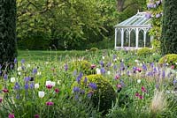 A spring border with Tulips, Camassia, Stipa tenuissima, box balls and yew columns beside a conservatory.
