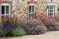 The original cottage facade flanked by a border of Rosa x odorata 'Mutabilis', salvia, hardy geranium and Cistus x argenteus 'Peggy Sammons'.