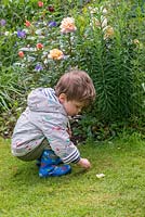 Sue and Clive Lloyd's grandson, two-year-old Albert, plays in the garden.