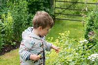 Sue and Clive Lloyd's grandson, two-year-old  Albert, points at an insect in their garden.