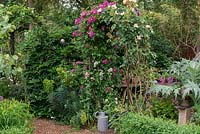 An arch bearing Rosa 'Bleu Magenta', with red Campion, Valerian and Euphorbia growing at its base.