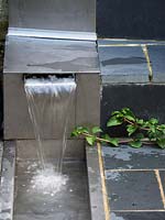 Water feature and rill.