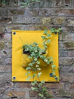 Yellow wall planter