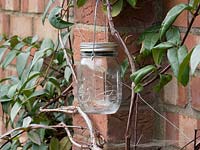 A glass wasp trap is on hand in case needed.