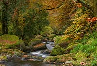 A view of a rocky stream surrounded by Autumn trees. 