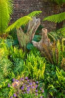 Ferns in The Stumpery with Dicksonia antarctica - Arundel Castle, West Sussex, May