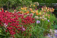Summer flowering borders including Monarda, Lilium and Allium at Belmont House Sussex. 