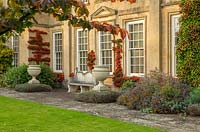 Trained Pyracantha on wall, urns, containers, Parrotia persica - Bourton House Garden, Gloucestershire
