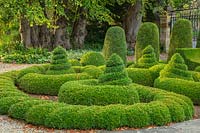 Buxus topiary - Bourton House Garden, Gloucestershire
