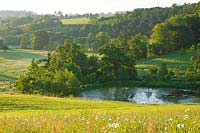 Wildflower meadow, lake and countryside, Brockhampton, Herefordshire