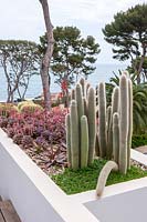 Cactus garden, Cap d'Antibes, May.