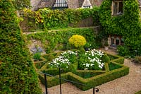 Formal box parterre with white Cosmos, Burford, Oxfordshire. 