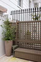 Basement terrace with container and trellis, London, April.