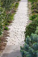 Stone brick path with mediterranean planting, Jardin de Migrations, Saint Jean, Marseilles, France, February.