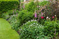Herbaceous border with peonies, foxgloves and geraniums. 