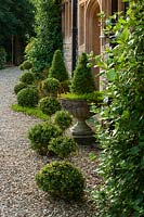 Clipped box topiary beside front door of Eastleach House