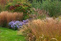 Border with several types of grasses including Miscanthus 'Karl Foerster' in Autumn