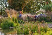 View across water to marginal planting, grasses including Molinia arundinacea 'Karl Foerster' and asters 